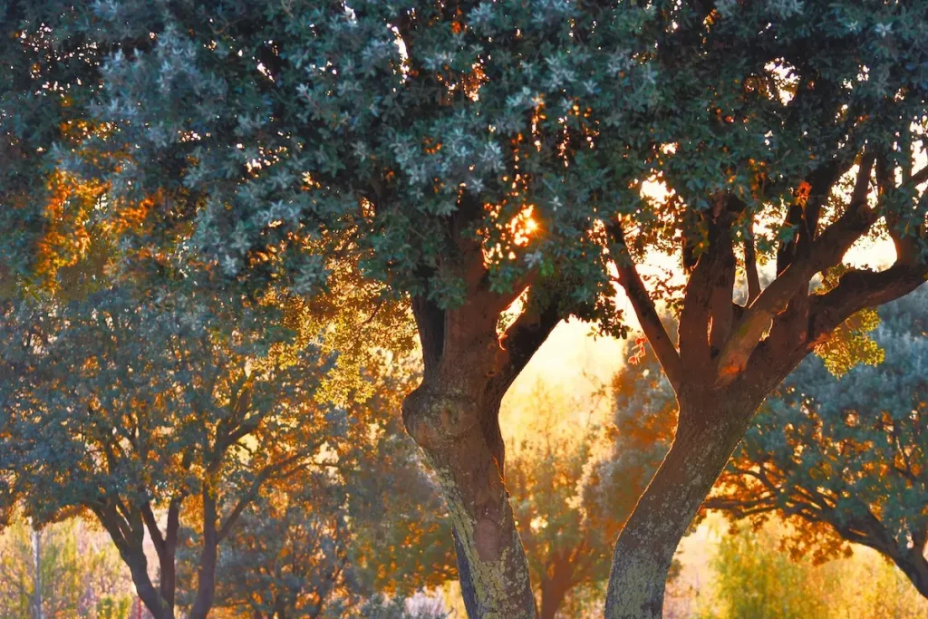 Hidden Andalusia: A Weekend Escape